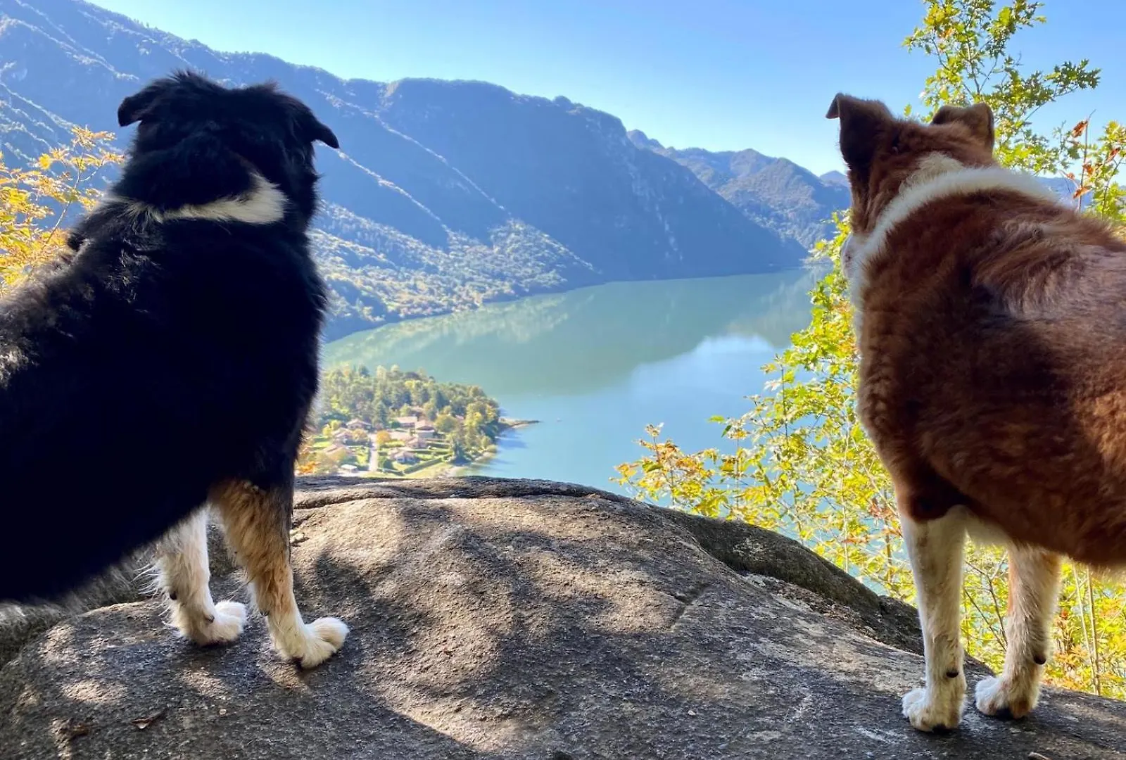 Hébergement de vacances Casa Claudia, A Due Passi Da Lago E Spiaggia Vesta